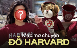 Từ chuyện 1 Á hậu khoe vào Harvard: Sự phóng đại như khoản vay ngắn hạn, được chú ý ngay lập tức rồi trả giá đắt