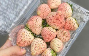 Loại quả đắt đỏ từng có giá tiền triệu nay bán giá rẻ "giật mình"