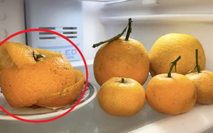 Cách khử mùi hôi tủ lạnh hiệu quả, cái số 1 ai cũng tấm tắc khen