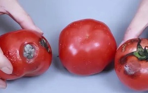 Ngược đời: 6 loại rau củ càng bảo quản lạnh càng nhanh hỏng, nhiều người mắc sai lầm!