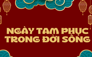 Ngày Tam phục là ngày gì?
