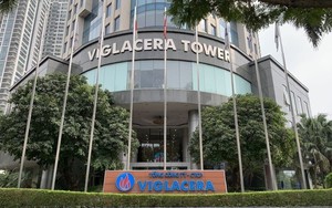 Viglacera thâu tóm thêm một công ty nghìn tỷ từ tập đoàn Nhật Bản