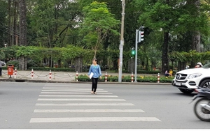 Ô tô không nhường đường cho người đi bộ có bị phạt không?