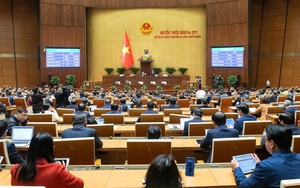 Những điểm mới của LUẬT TỔ CHỨC CHÍNH PHỦ 2025