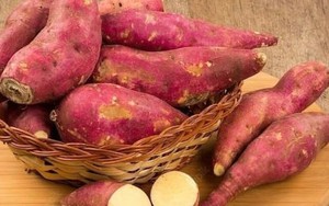 Ăn khoai lang tốt hơn cơm?