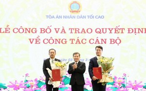 Bổ nhiệm Chánh Văn phòng Tòa án nhân dân Tối cao