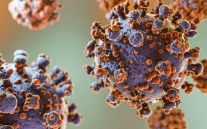 Xuất hiện virus lạ gây triệu chứng ho ra máu ở Nga