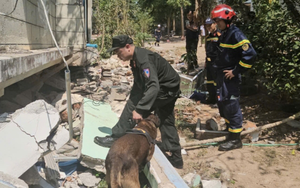 Công an Việt Nam dùng chó nghiệp vụ tìm 2 người mắc kẹt sau động đất ở Myanmar