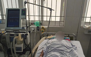 4 người nguy kịch sau khi nhậu cá nóc nấu canh chua