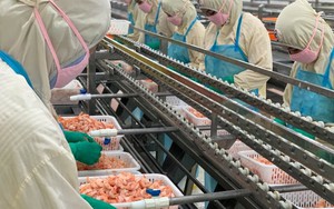 DN Việt bán đồ ăn lớn nhất nhì cho người Mỹ: thu về vài trăm triệu USD, giá trị sổ sách 430.000 đồng/cp, EPS 70.000 đồng, nhiều năm liền cổ tức 100%