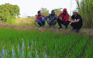 Bí thư huyện về thăm trang trại của team Quang Linh châu Phi, 'đứng hình' khi nhìn thấy cây lúa của Việt Nam, hứa hẹn 1 điều khiến người dân xúc động