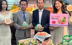 Bất ngờ giá bưởi Việt Nam bán trên kệ siêu thị Hàn Quốc