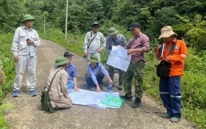Dự báo Trung Trung bộ có hơn 10 tấn vàng