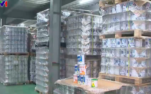 Phá đường dây sản xuất sữa bột giả cho trẻ sơ sinh, bà bầu thu lợi gần 500 tỉ đồng