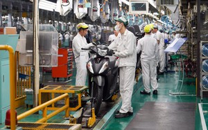 Xe điện hai bánh tăng trưởng tốt, xe máy vẫn bán chạy