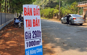 Từ màn tăng sốc giá đất 15 lần khi sáp nhập Hà Tây cũ, chuyên gia cảnh tỉnh nhất định phải tỉnh táo