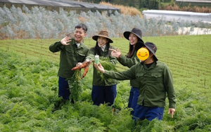 Thông tin mới nhất về tung tích vùng nguyên liệu sản xuất kẹo Kera