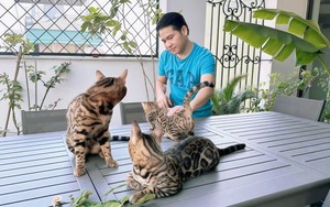 "Vua nhạc đỏ": U50 có biệt thự, nhà mặt phố Hà Nội là chủ 2 nhà hàng nhưng "của để dành" mới khủng