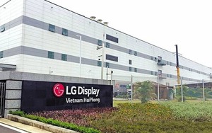 LG Electronics tạm dừng đầu tư mở rộng tại Hải Phòng vì thuế đối ứng của Tổng thống Trump