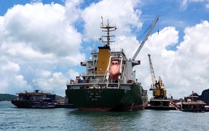 Lãi 1-2 tỷ/năm, công ty đại lý tàu biển được rao bán  giá 336.000 đồng/cp