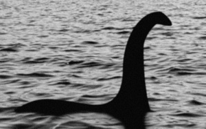 Người phụ nữ phát hiện sinh vật bí ẩn, nghi là quái vật hồ Loch Ness huyền thoại
