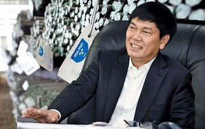 Ông Trần Đình Long tiết lộ "mảnh đất cuối cùng ở VN có thể xây nhà máy thép", tạo việc làm 20.000 người