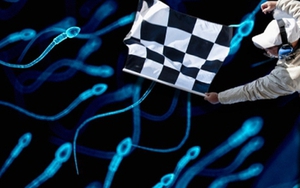 Nhóm triệu phú Mỹ livestream cuộc đua tinh trùng đầu tiên trên thế giới