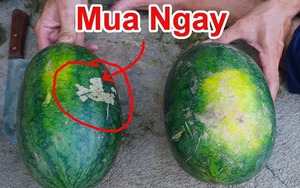 Vỗ rát cả tay không mua nổi quả dưa hấu xịn, bỏ đi - học 8 mẹo này đảm bảo chọn "bách phát bách trúng"!