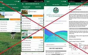 Công an công bố hai đường link "nuôi bò" độc hại: Ít nhất 751 người đã là nạn nhân, thiệt hại hơn 17 tỷ