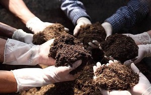 Hàng chục nghìn tấn hàng từ Việt Nam ồ ạt tràn sang Lào: Thuế nhập khẩu 0%, nước ta tiêu thụ hơn 11 triệu tấn/năm