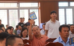 Đấu giá 20 lô 'đất vàng', giá trúng cao hơn 19 tỷ so với khởi điểm