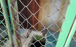 Điều tra vụ bé trai 4 tuổi tử vong trong bể chứa nước trường học