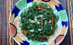 Việt Nam có loại cây dại được mệnh danh "cỏ thần", thế giới săn lùng: Phòng được bệnh tim mạch, ung thư