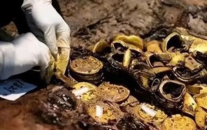 Người nông dân đang làm đồng vô tình phát hiện một hộp gỗ chứa 70kg vàng