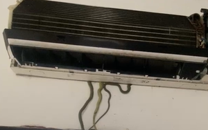 Kinh hãi phát hiện 7 con rắn "làm ổ" trong máy điều hòa