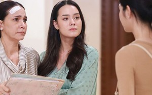 Mới về làm dâu, chị chồng đã ép tôi ký giấy từ chối quyền thừa kế, tôi đồng ý ngay nhưng "chốt" một điều kiện làm chị xám mặt