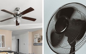 Dùng quạt trần hay quạt cây tốn điện hơn, đây là câu trả lời