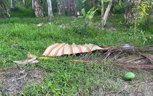 Đánh chết bạn nhậu rồi khiêng thi thể bỏ sang vườn người khác