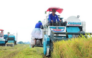 Ngành lúa gạo khẳng định vị thế mới