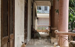 Xót xa công sở trên đất 'vàng' ở TP. Hòa Bình bị bỏ hoang nhiều năm