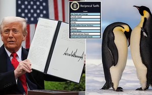 "Không nơi nào trên Trái đất an toàn": Ông Trump áp thuế đối với các đảo chỉ có chim cánh cụt gần Nam Cực
