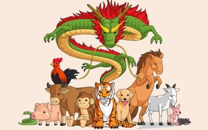 2 con giáp sắp lội ngược dòng, sự nghiệp thăng hoa rực rỡ, 1 con giáp lại cần thận trọng