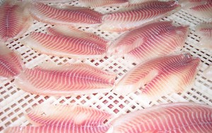 Việt Nam xuất khẩu hàng trăm nghìn tấn sản vật trị giá hơn 10 tỷ USD của TG: Mỹ, Nga liên tục chốt đơn