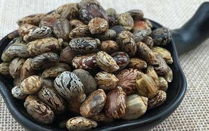 Loại hạt chứa "chất độc nguy hiểm bậc nhất hành tinh", người Việt vẫn vừa dùng vừa bán hằng ngày