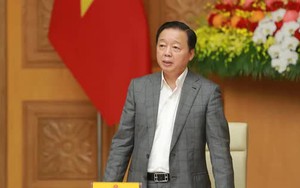 Phó Thủ tướng: Thực hiện lộ trình thu hồi phương tiện cũ, nát gây ô nhiễm môi trường