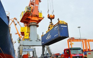 Cục Hải quan phát công văn 'hỏa tốc' về xuất hàng sang Mỹ