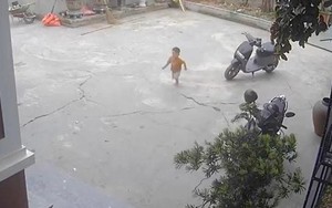 VIDEO: Bé trai gần 3 tuổi gọi người lớn cứu bạn rơi xuống ao