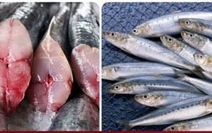 5 loại cá béo có hàm lượng Omega-3 cao nhất, nên ăn thường xuyên