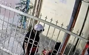 Sự thật đằng sau clip bé trai bị người thân đánh tới tấp vì bán không hết hàng