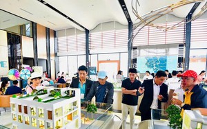 Sáp nhập TPHCM với Bình Dương và Bà Rịa - Vũng Tàu: Có nên xuống tiền mua đất?